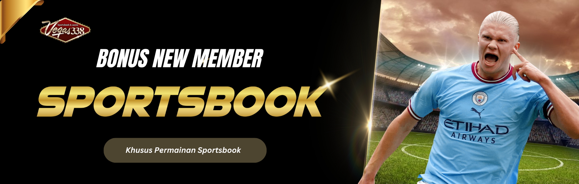 SPORTBOOKS 25%